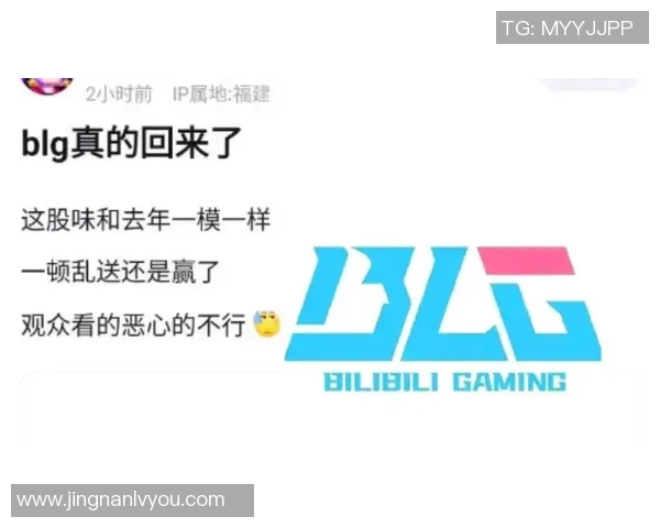 DOTA2热议BLG团队协作引发的争议与反思分析