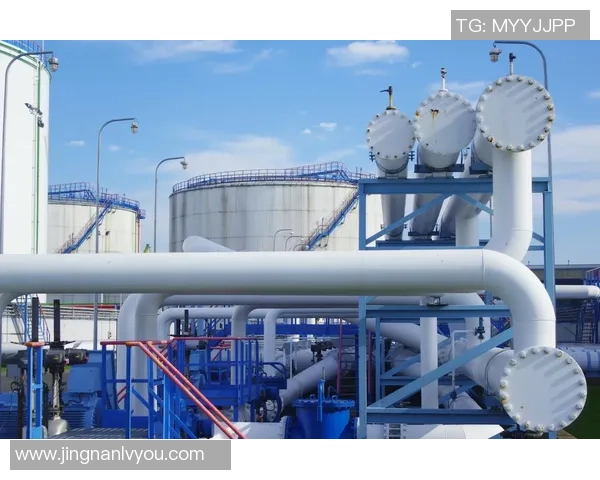 专业分析LNG市场的控制策略与应对方法探讨