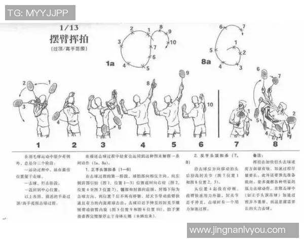从零基础到高手之路羽毛球技巧与训练全方位指南